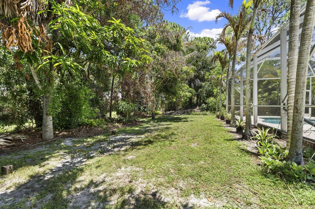 36-web-or-mls-DSC04346