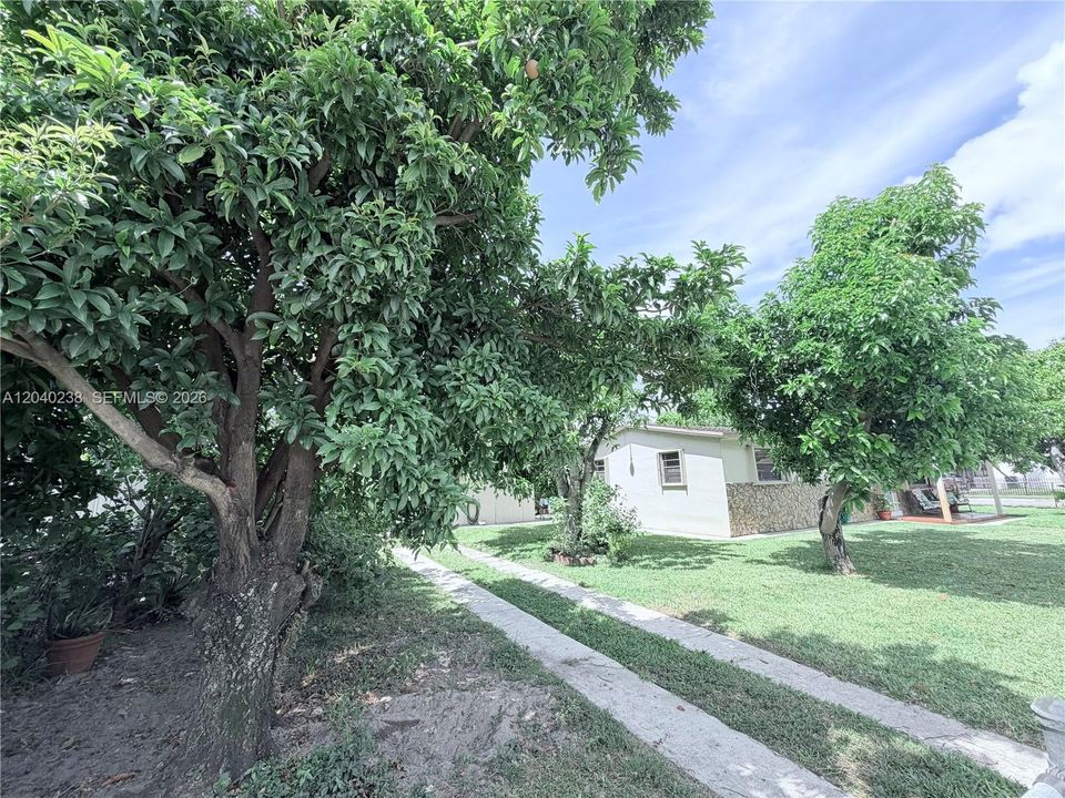 En Venta: $550,000 (3 camas, 1 baños, 1200 Pies cuadrados)