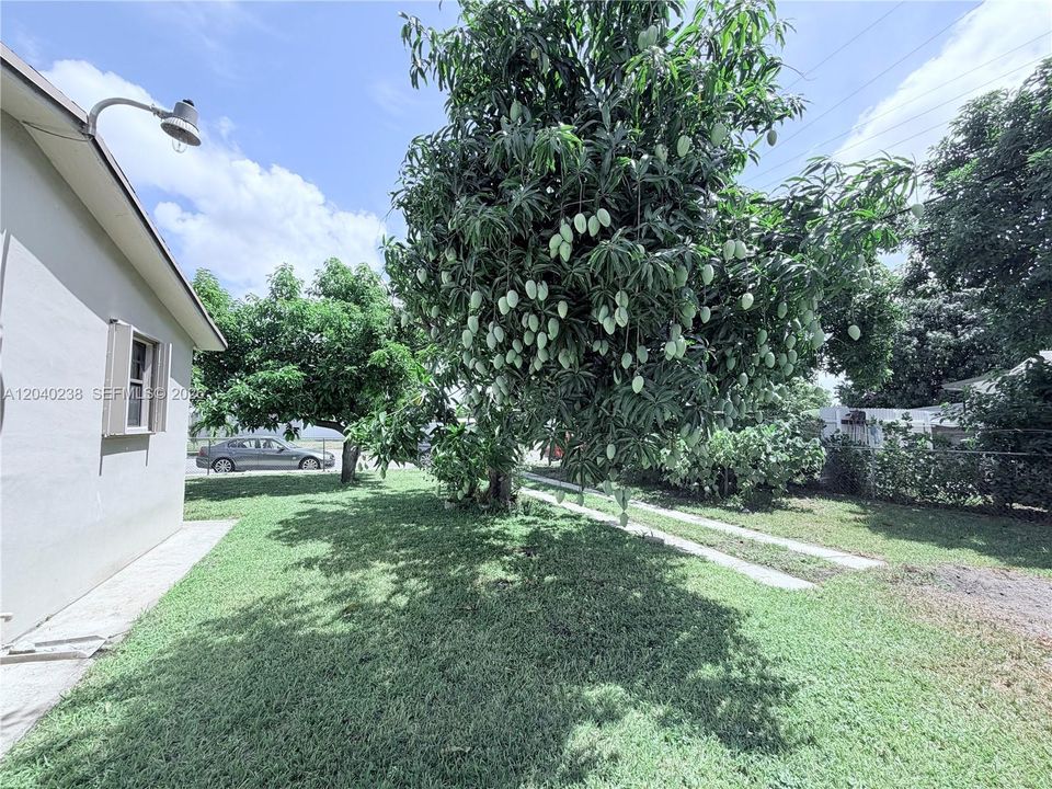 En Venta: $550,000 (3 camas, 1 baños, 1200 Pies cuadrados)