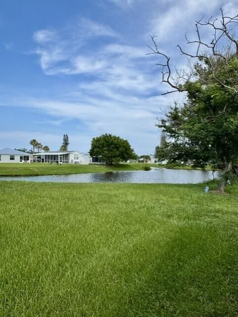 Backyard View