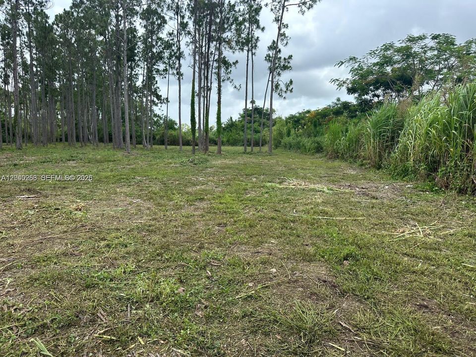 На продажу: $290,000 (1.00 acres)