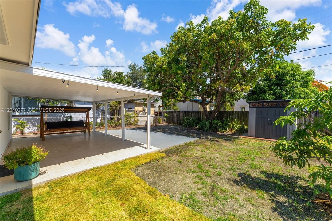 Covered patio + mature avocado tree