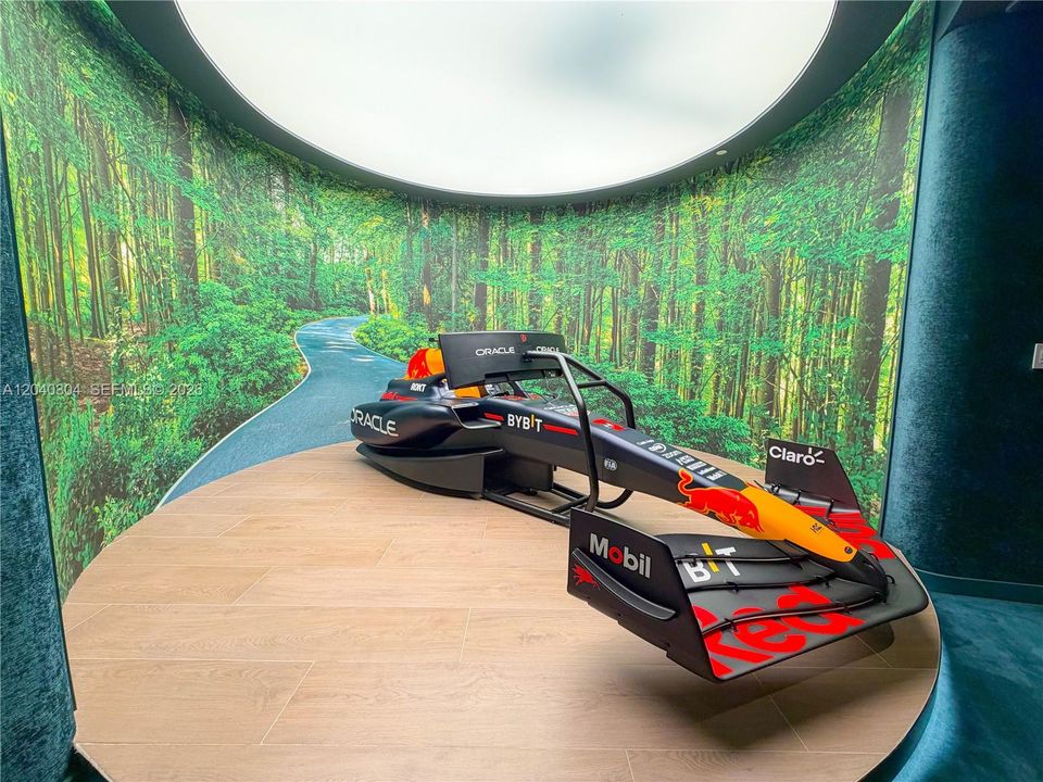F1 Simulator