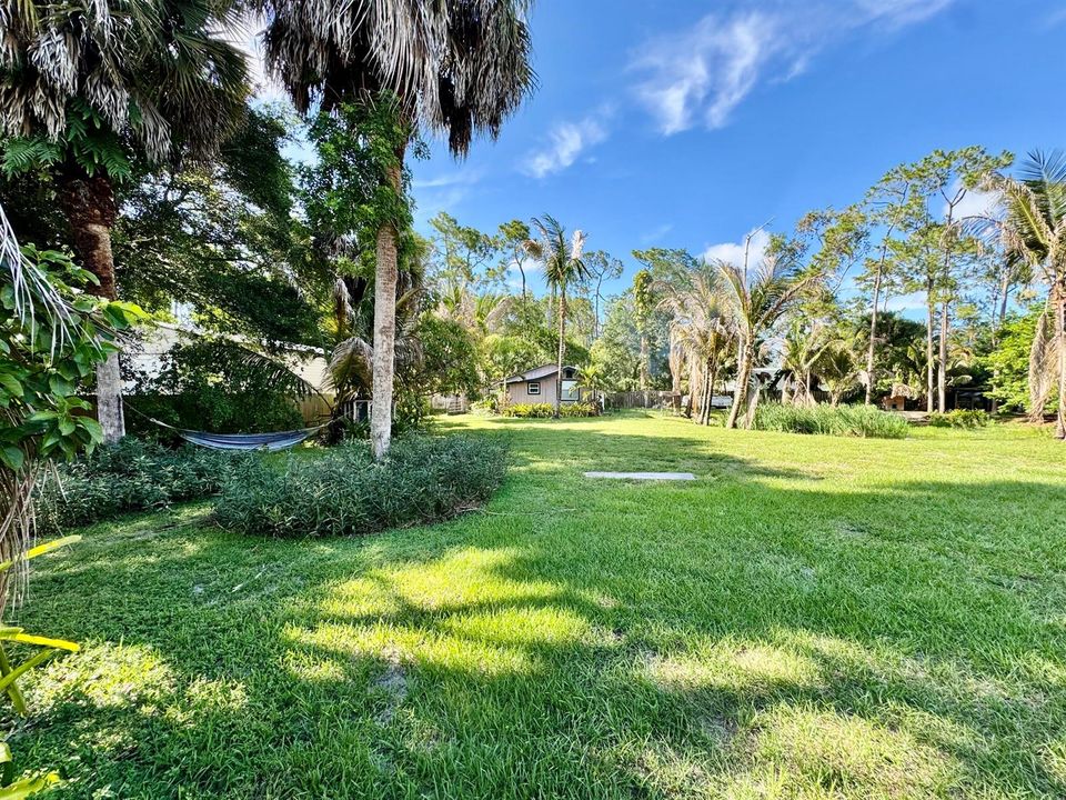 Backyard..