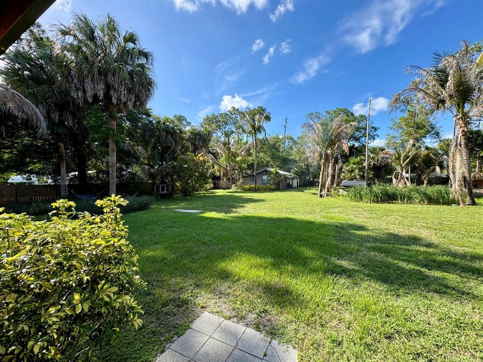 Backyard