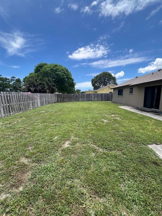 8511 Backyard