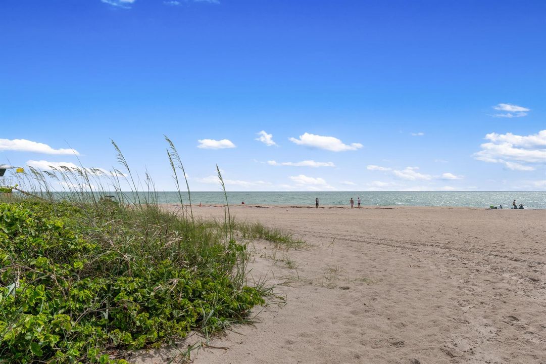 Beaches