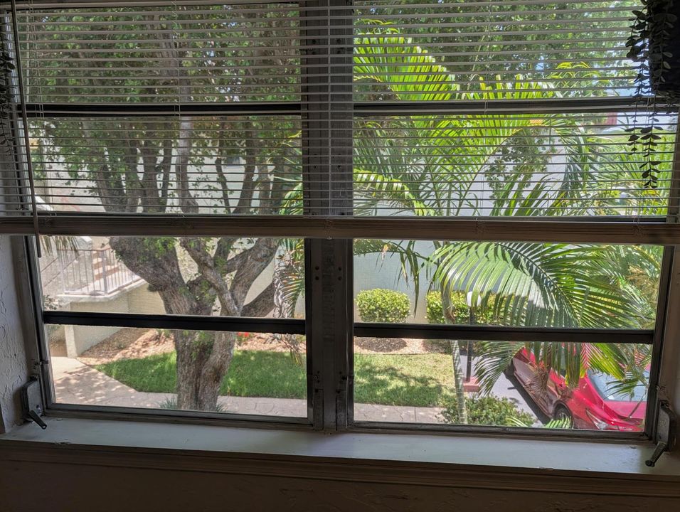 view from enclosed balcony
