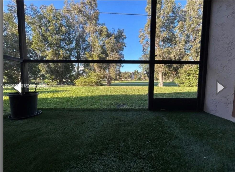View from sunroom