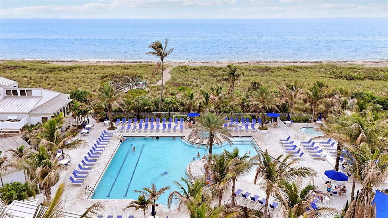 Main Pool