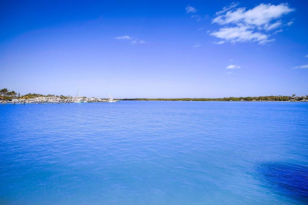 300 Intracoastal Place Apt 203-31