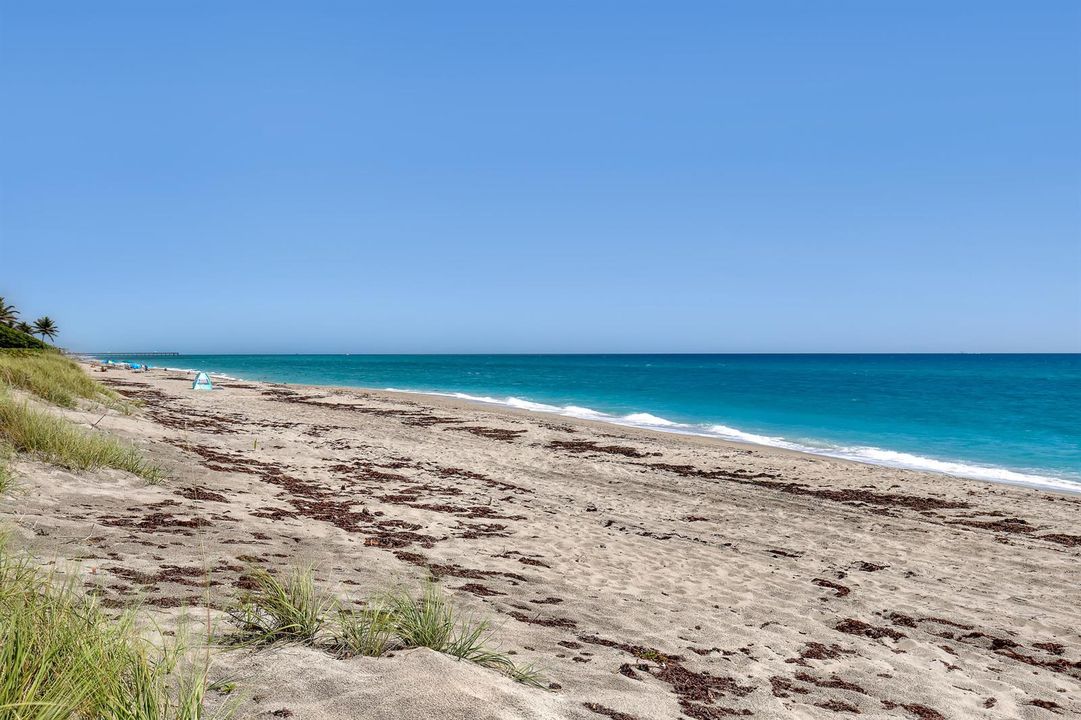 Juno Beach