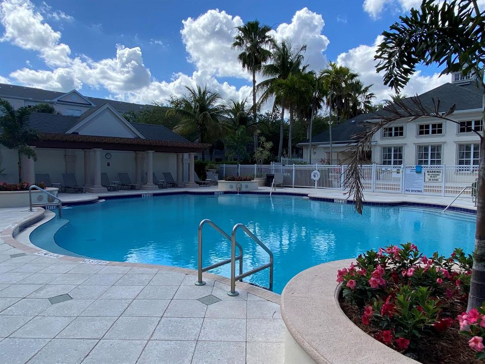Resort Style Pool