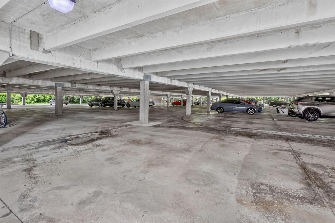 65-web-or-mls-5P1A9493