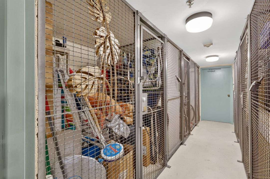 52-web-or-mls-5P1A9390