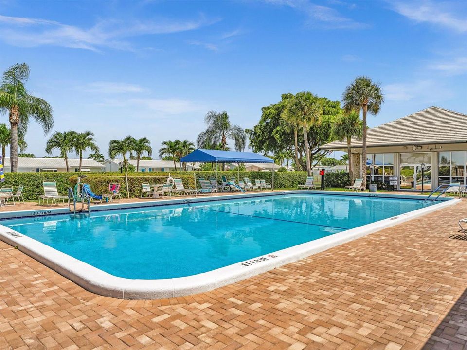 Swim Here!