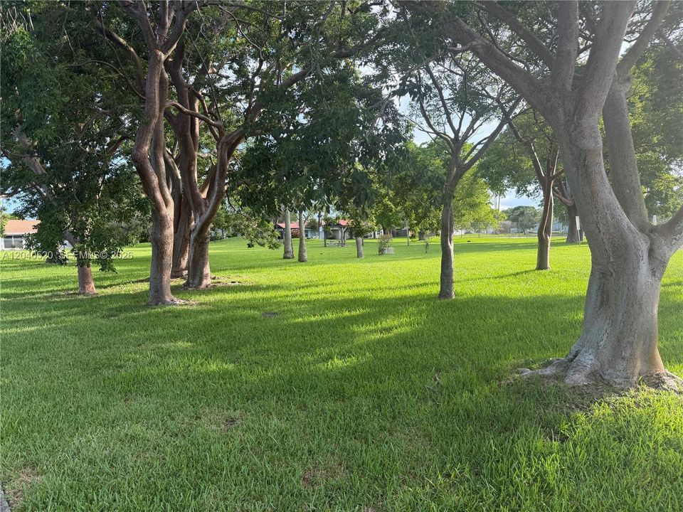 COMMUNITY PARK