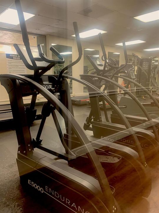 mcgoldrick_gym1