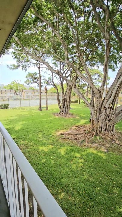 For Rent: $1,800 (2 beds, 1 baths, 609 Square Feet)