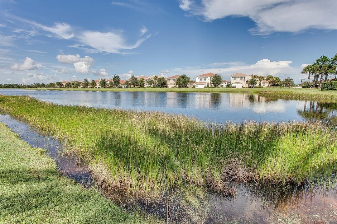6 - Lake Stockton