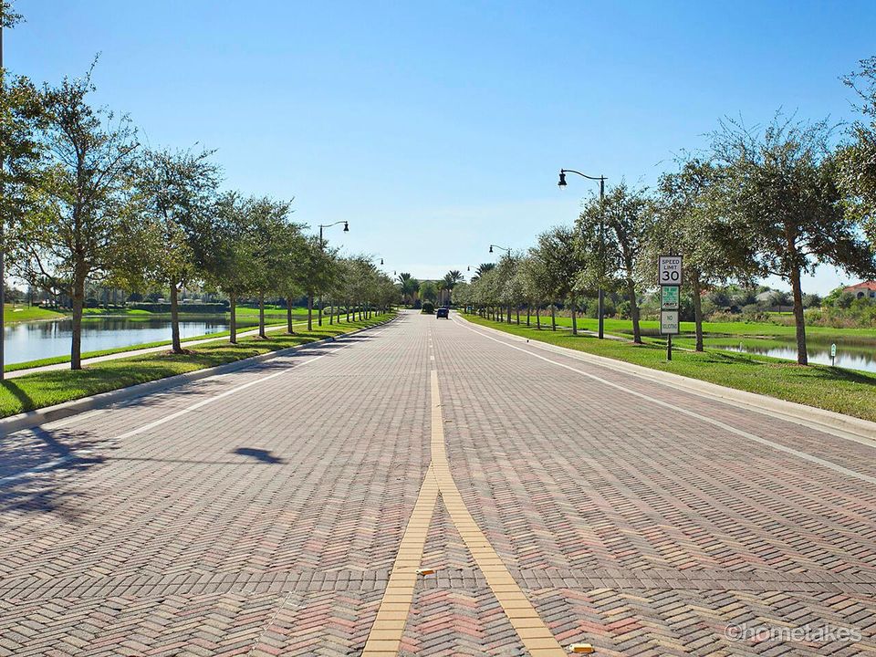 4 - Entrance Oak Trees