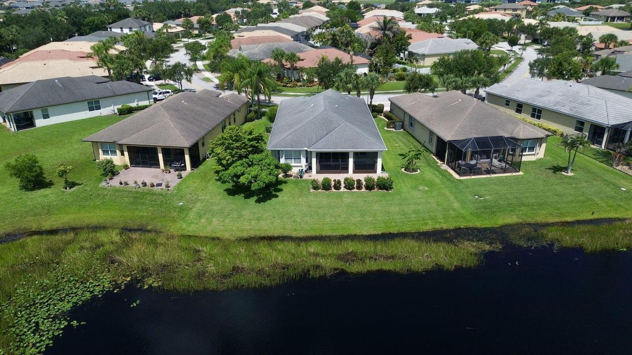 Aerial Rear