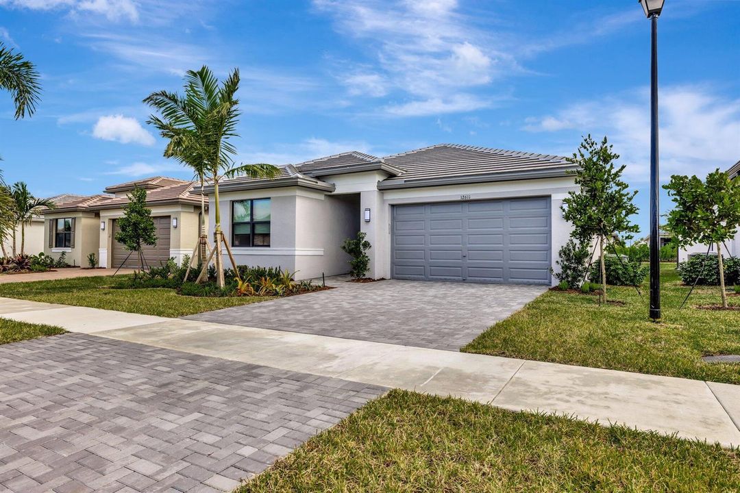 3-web-or-mls-632A5479