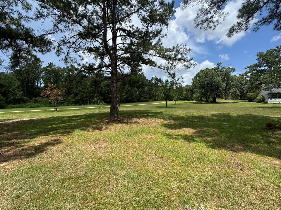 Golf Fairway View