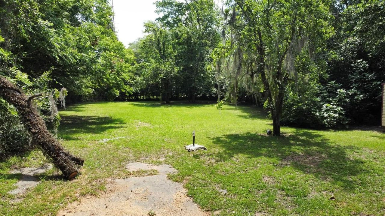 ALF BACK YARD