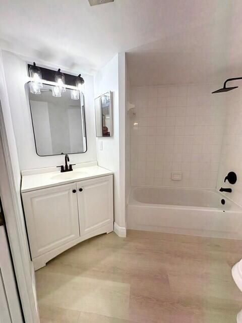 Master Tub and Shower