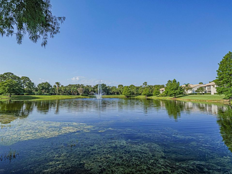 Lake