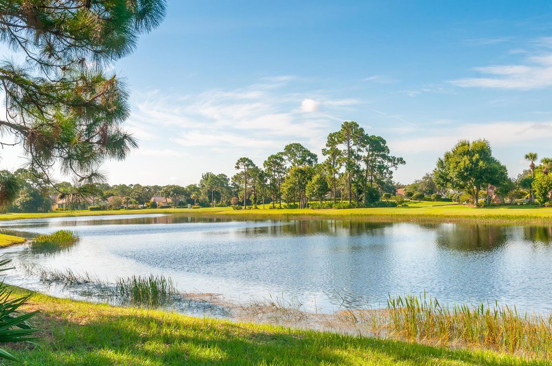 Lake Charles Community Web-7