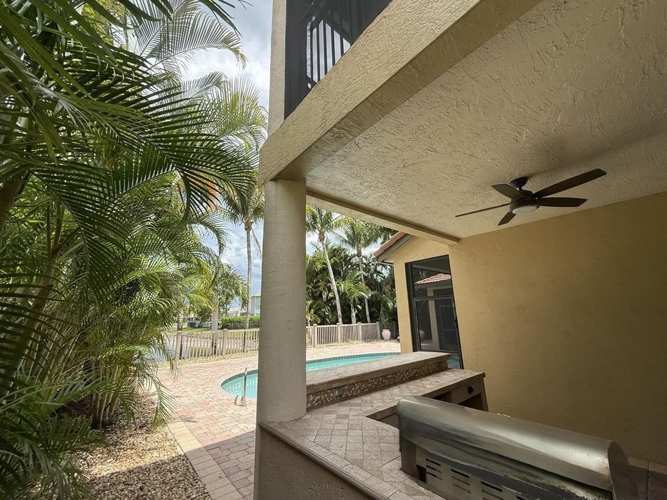 Backyard Views