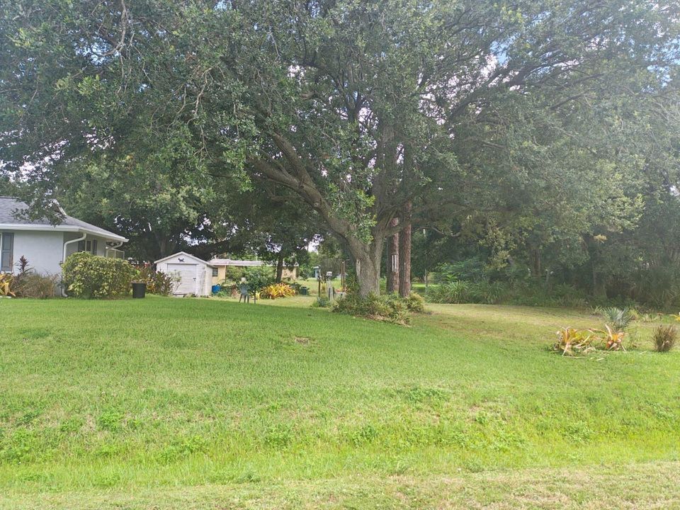 PHOTO-2026-06-20-18-06-52 (1)