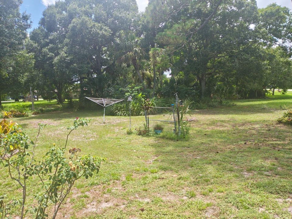 PHOTO-2026-06-20-18-06-59 (1)