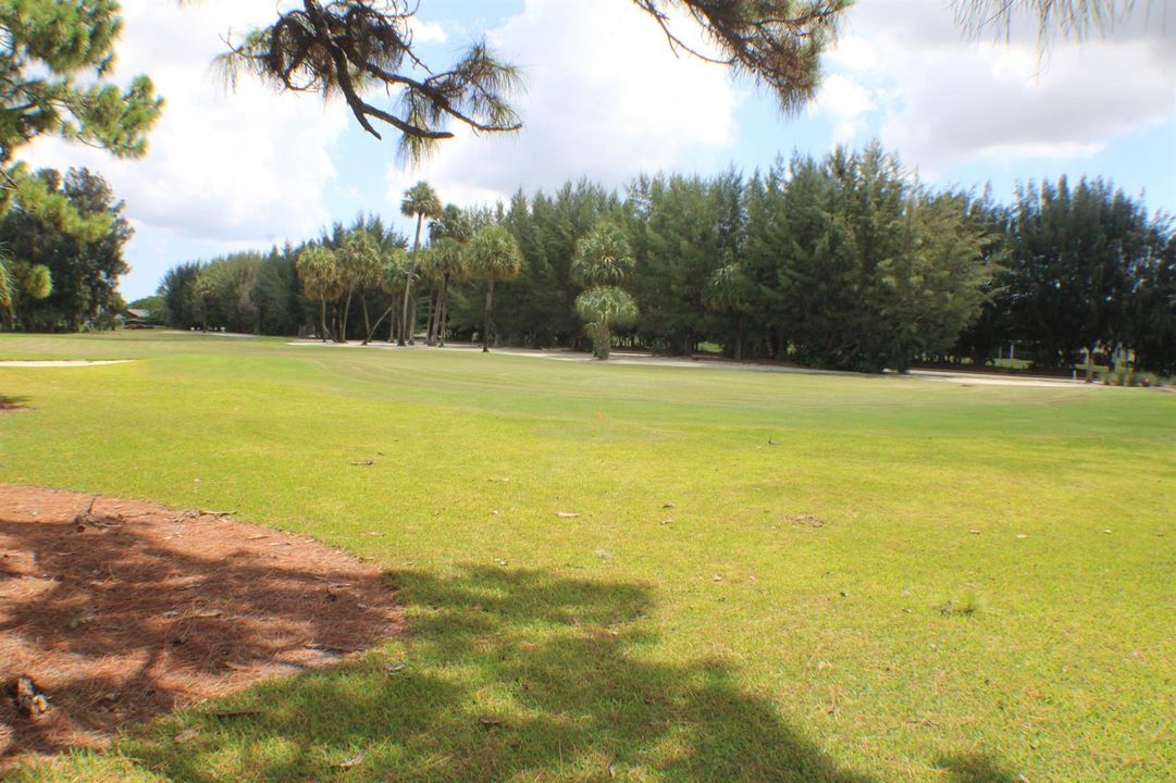 Golf view, ground level
