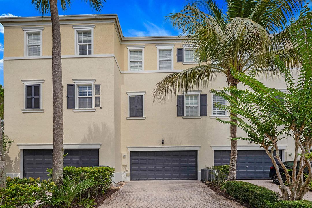 241 Thatch Palm -33