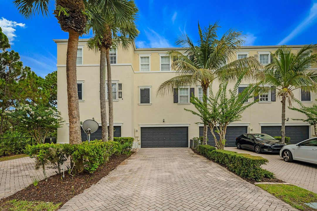 241 Thatch Palm -32