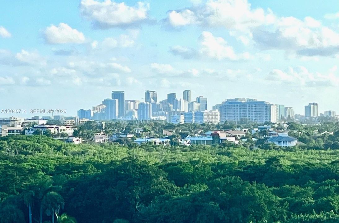 Downtown view