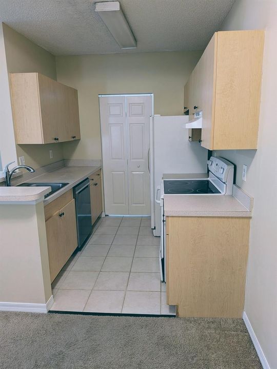 UNIT 513 KITCHEN - Copy