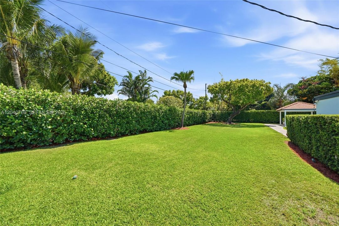 Backyard