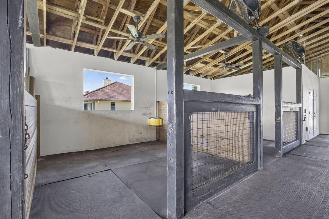 82-web-or-mls-BS1A2782