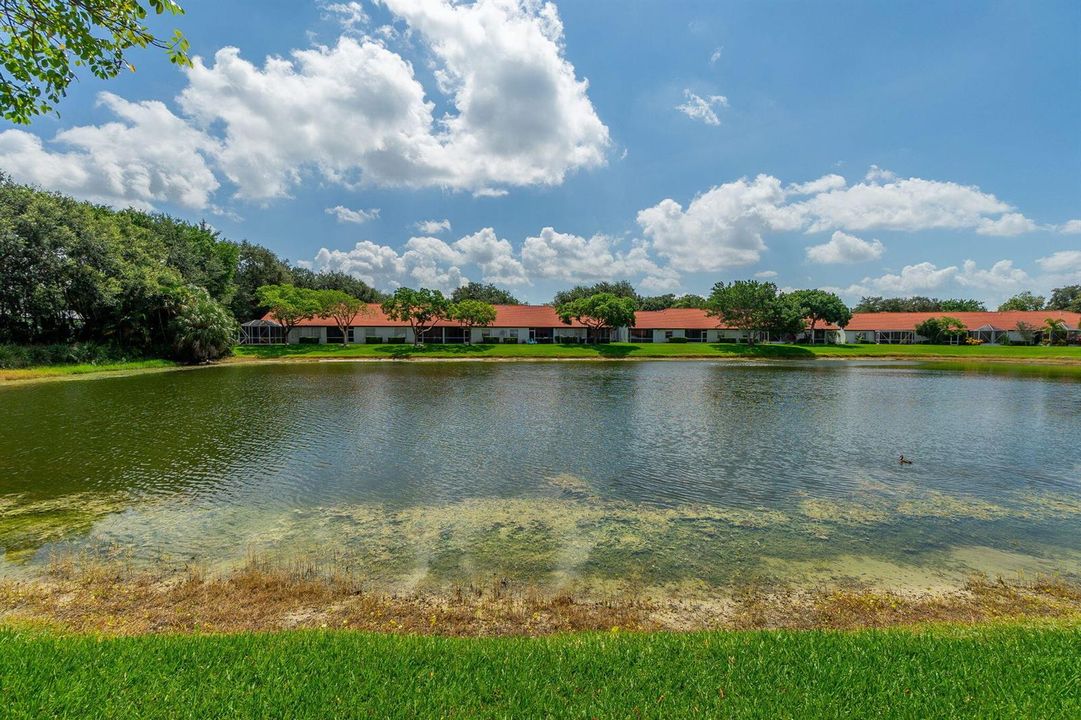 28-web-or-mls-DSC05197