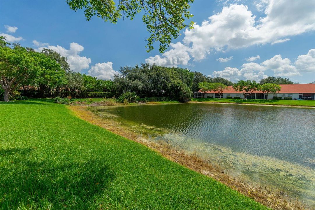 30-web-or-mls-DSC05198
