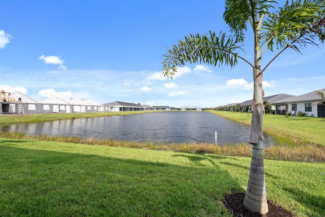Long Lake View