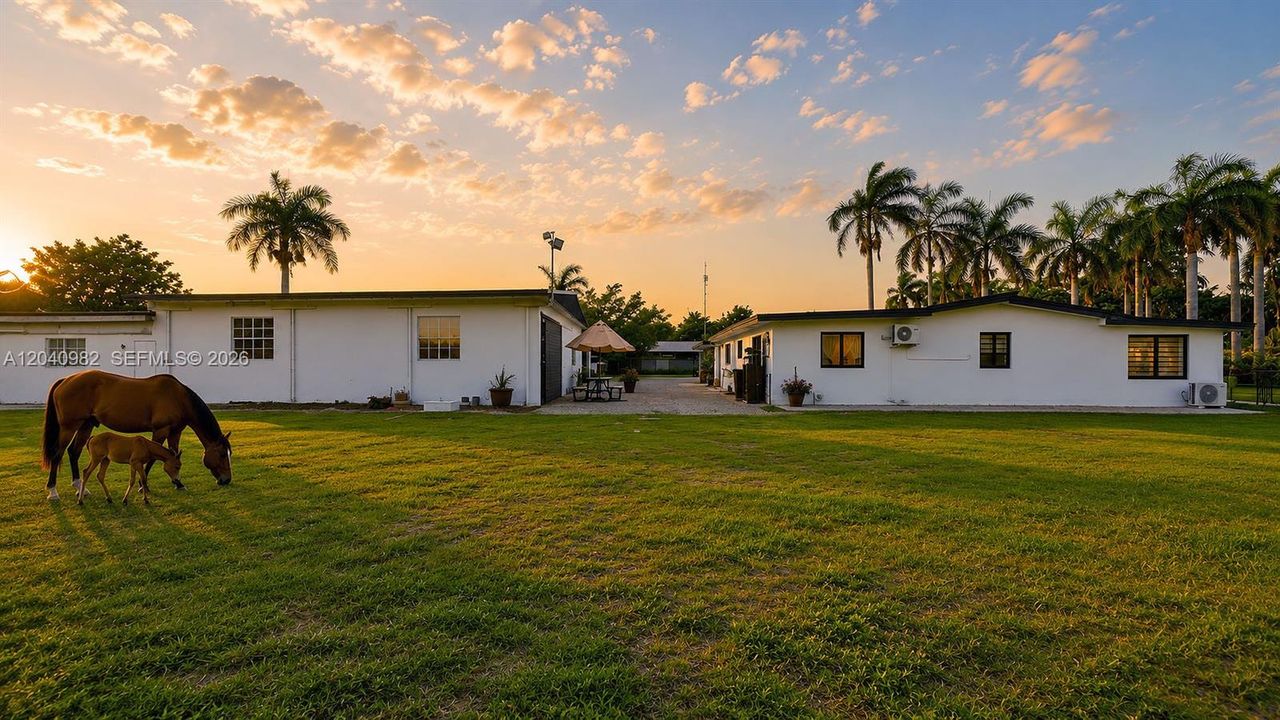 На продажу: $5,799,000 (4 спален, 3 ванн, 1978 Квадратных фут)