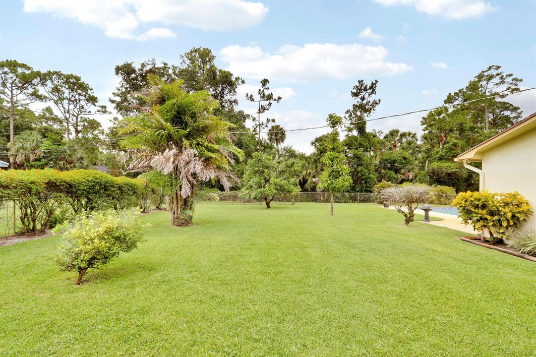 Huge Yard
