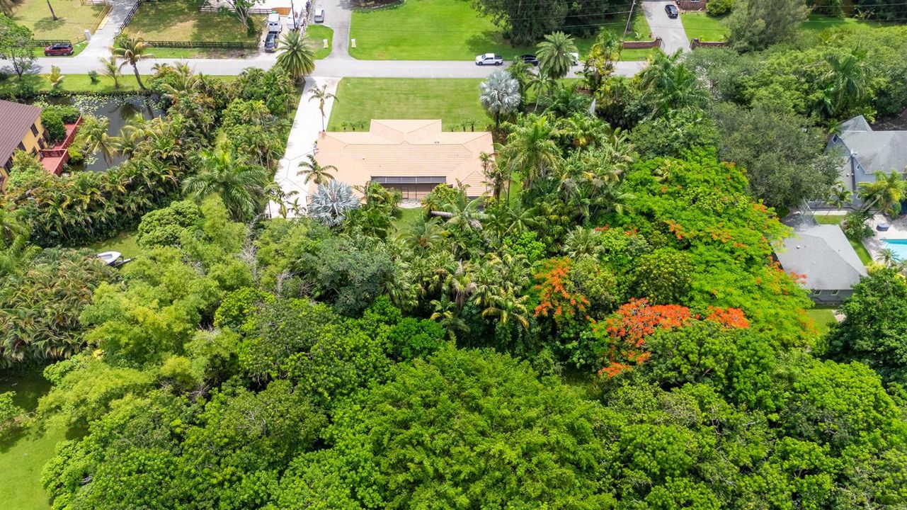 DJI_20260618122237_0032_D