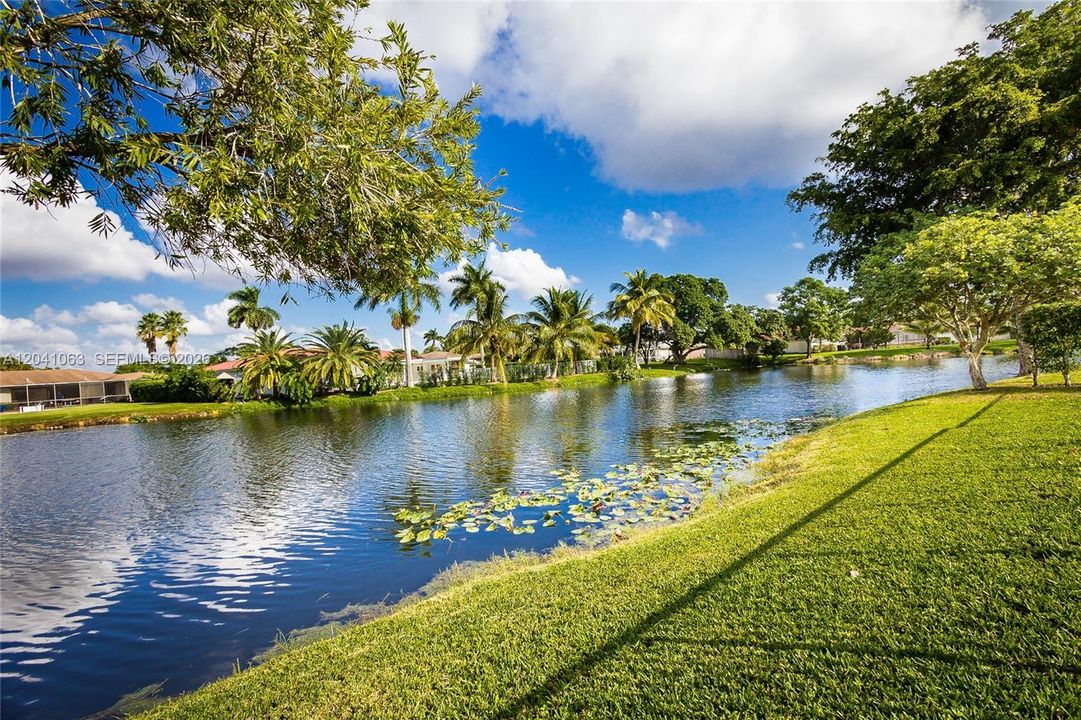 Beautiful Lake View