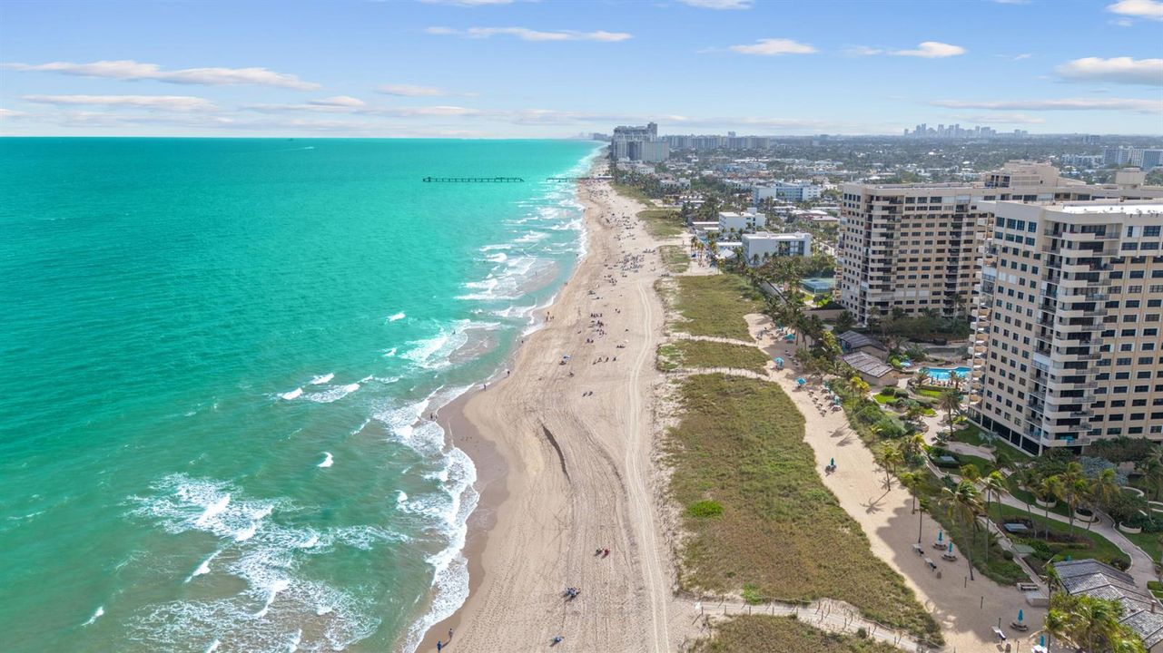 DJI_20240126144210_0430_D_PBR